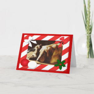 Golden Retriever Cat Weihnachtskartenrahmen Feiertagskarte