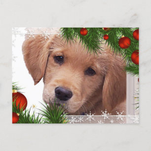 Golden Retriever Christmas Card - Puppy Cute Dog Feiertagspostkarte