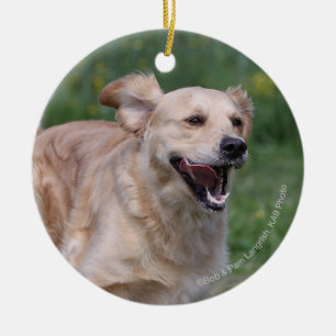 Golden retriever, das 1 laufen lässt keramikornament