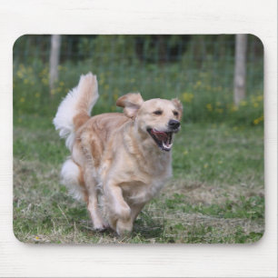 Golden retriever, das 1 laufen lässt mousepad
