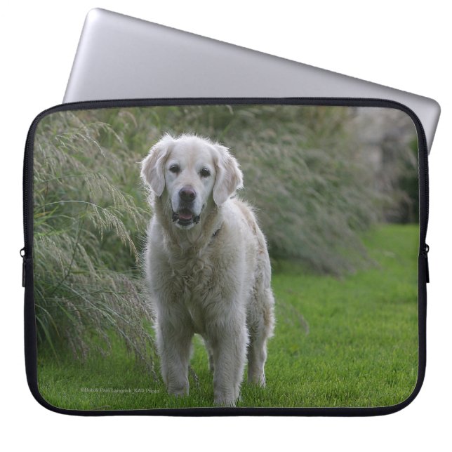 Golden retriever, das 2 laufen lässt laptopschutzhülle (Vorderseite)