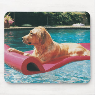Golden retriever, das auf einem Luft-Bett in a Mousepad