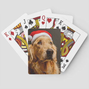Golden retriever, das für sein Weihnachten Spielkarten