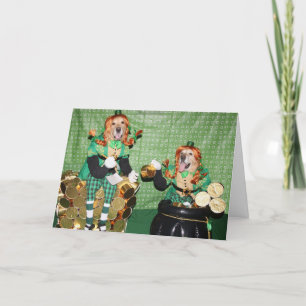 Golden retriever, das Goldschatz zählt Karte