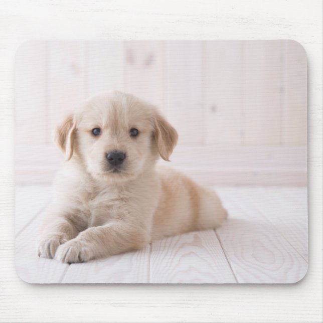 Golden retriever, das sich hinlegt mousepad (Vorne)