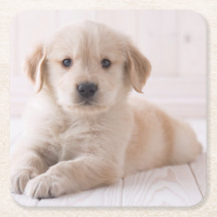 Golden retriever, das sich hinlegt rechteckiger pappuntersetzer