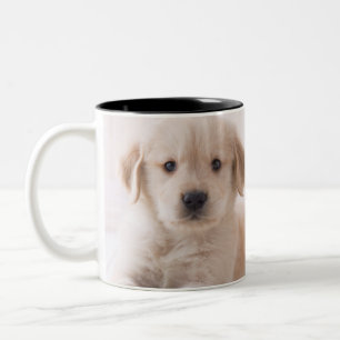 Golden retriever, das sich hinlegt zweifarbige tasse