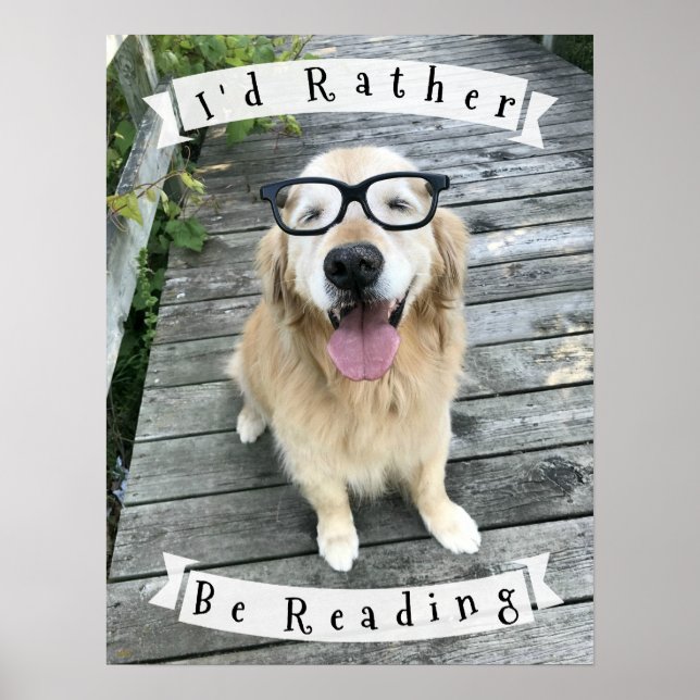 Golden Retriever, den ich lesen würde, würde eher  Poster (Vorne)