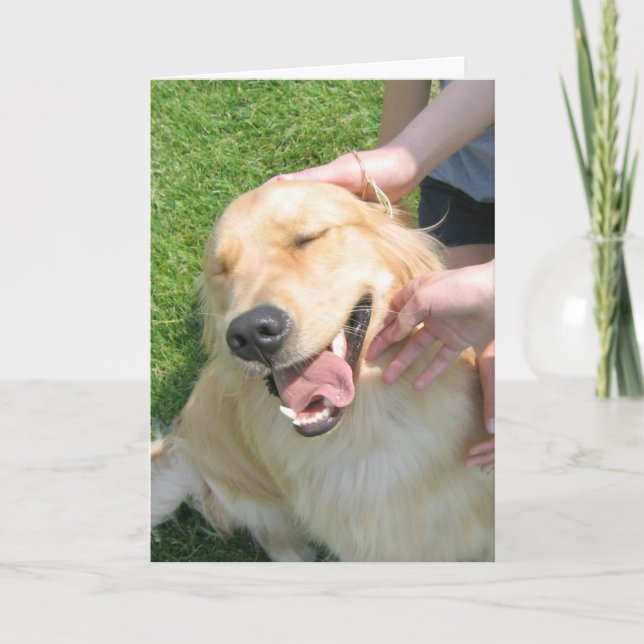 Golden Retriever, die Sie getan haben, Glückwunsch Karte (Vorderseite)