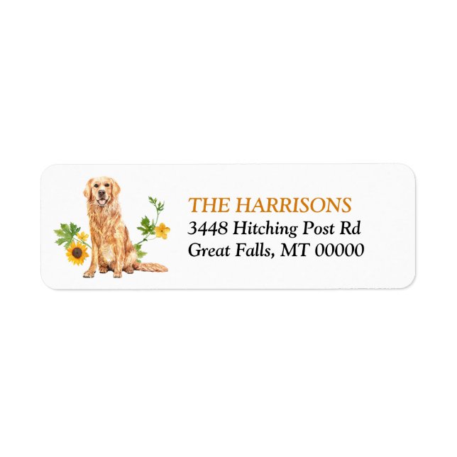 Golden Retriever Dog (Vorne)