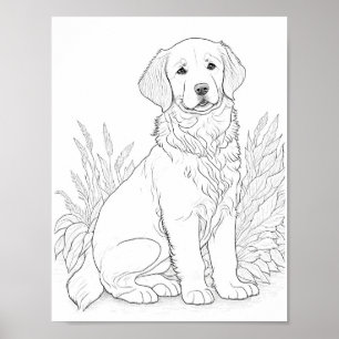 Golden Retriever Dog Aduloring Poster
