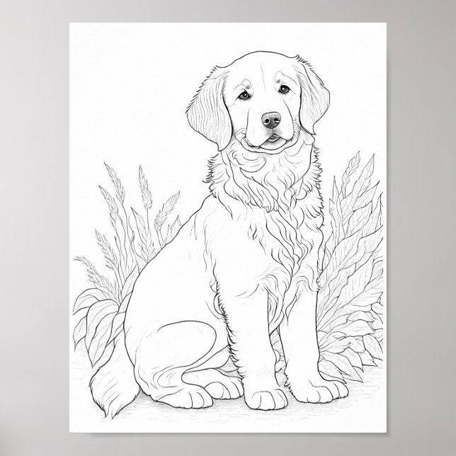 Golden Retriever Dog Aduloring Poster (Vorne)