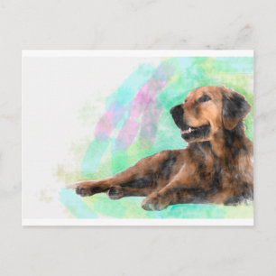 Golden Retriever Dog Aquarellmalerei Postkarte
