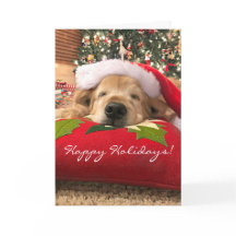 Golden Retriever Dog Asleep Under Tree