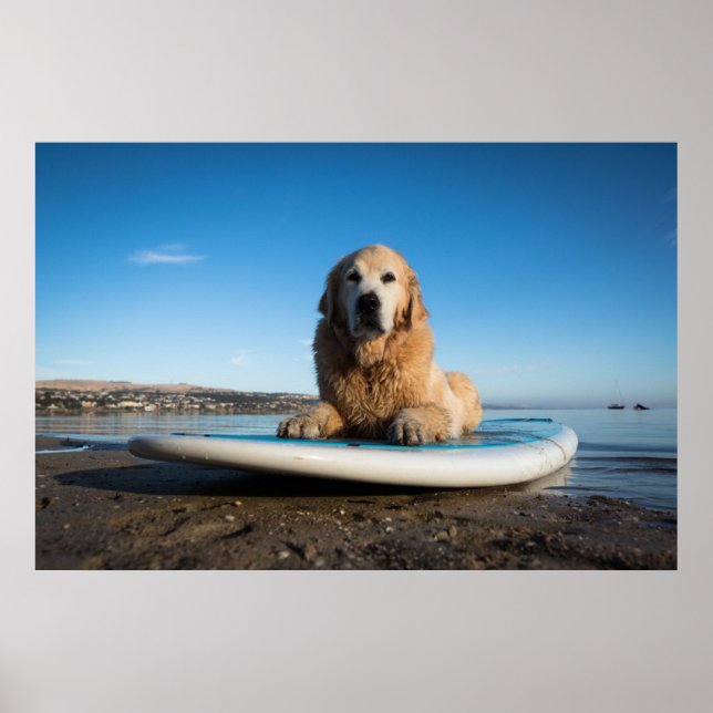 Golden Retriever Dog auf einem Paddelbrett Poster (Vorne)