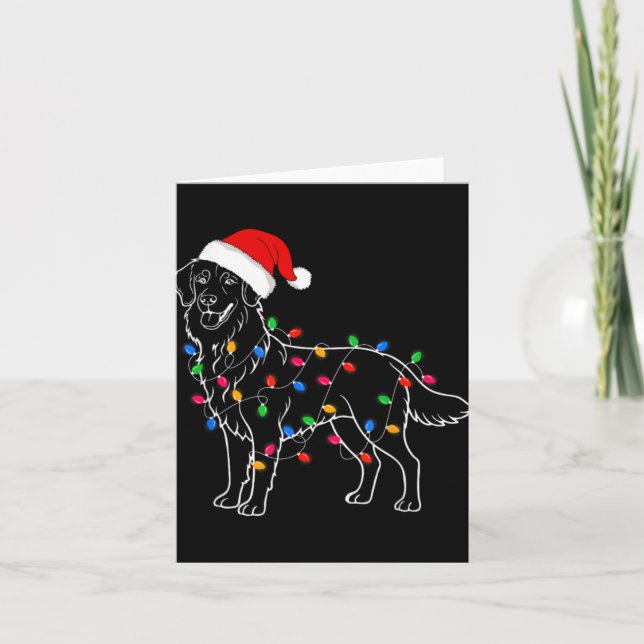 Golden Retriever Dog Christmas Lights Santa Xmas D Karte (Vorderseite)