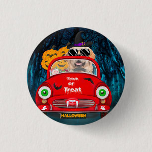 Golden Retriever Dog Driving Car Beängstigend Hall Button