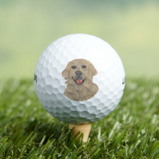 Golden Retriever Dog Golfball (Insitu T-Shirt)