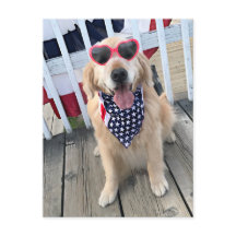 Golden Retriever Dog in Independence Day Glasses