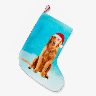Golden Retriever Dog in Snow mit Weihnachtshut Kleiner Weihnachtsstrumpf