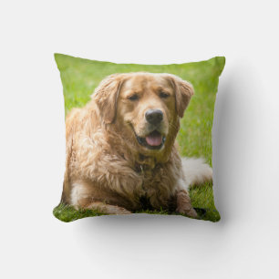 Golden Retriever Dog Kissen