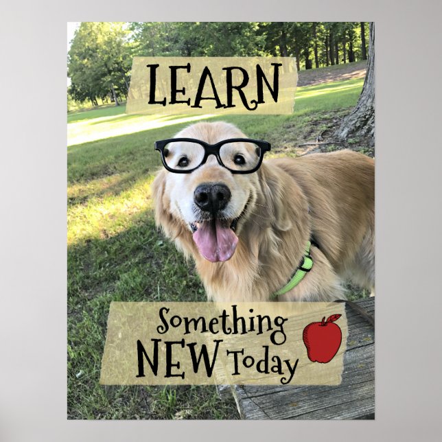 Golden Retriever Dog lernen etwas Neues Klassenzim Poster (Vorne)