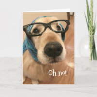 Golden Retriever Dog mit Brille wird bald gut
