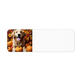 Golden Retriever Dog mit Pumpkins & Blätter Label