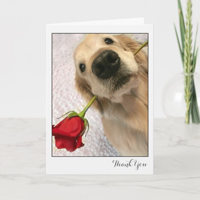 Golden Retriever Dog mit Rote Rose Danke (Vorderseite)