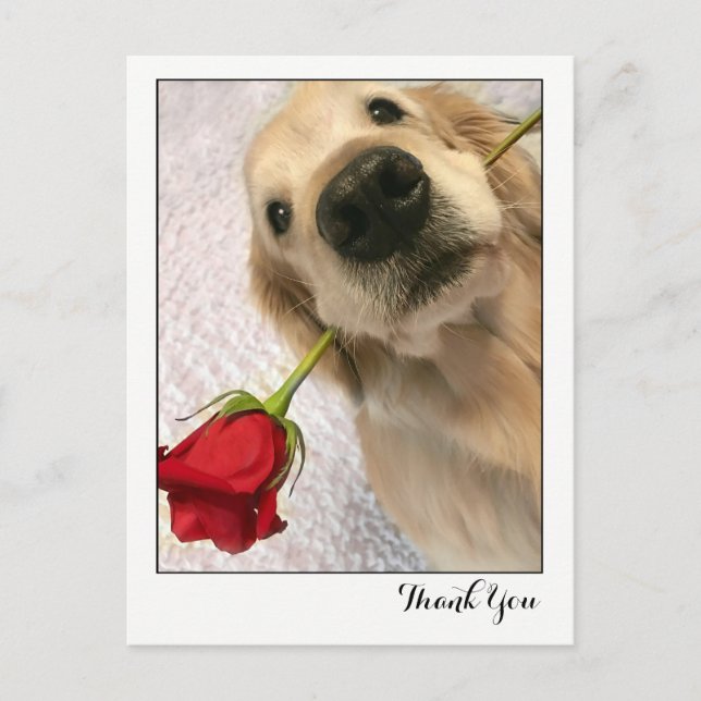 Golden Retriever Dog mit Rote Rose Danke Postkarte (Vorderseite)
