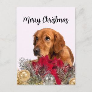 Golden Retriever Dog mit Weihnachtsschmuck Postkarte