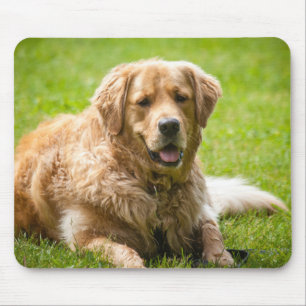 Golden Retriever Dog Mousepad