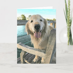 Golden Retriever Dog on a Dock Denken Sie an Sie Karte