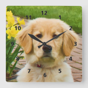 Golden Retriever Dog Quadratische Wanduhr