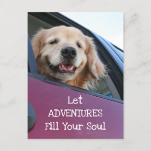 Golden Retriever Dog Safe Travel Adventures Postkarte
