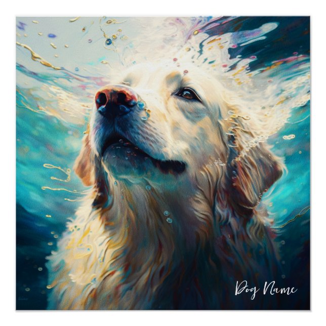 Golden Retriever dog swimming in water 005 Poster (Vorderseite)