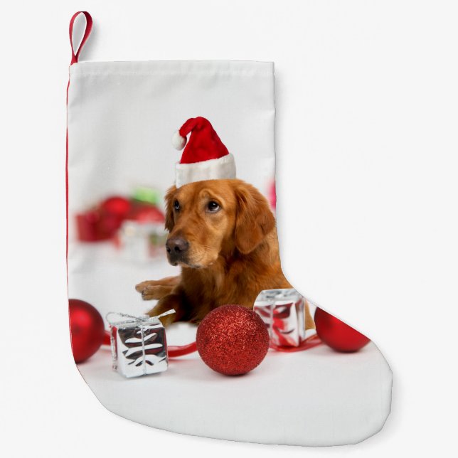 Golden Retriever Dog W Red Weihnachtsmannmütze Kleiner Weihnachtsstrumpf (Vorderseite)