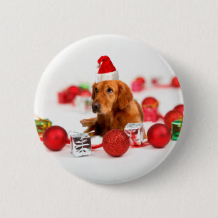 Golden Retriever Dog W Rote Weihnachtsmannmütze We Button