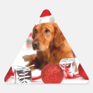 Golden Retriever Dog W Rote Weihnachtsmannmütze We Dreieckiger Aufkleber