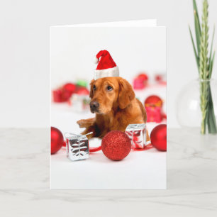 Golden Retriever Dog W Rote Weihnachtsmannmütze We Feiertagskarte