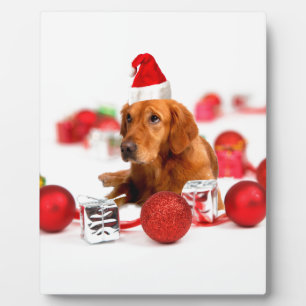Golden Retriever Dog W Rote Weihnachtsmannmütze We Fotoplatte
