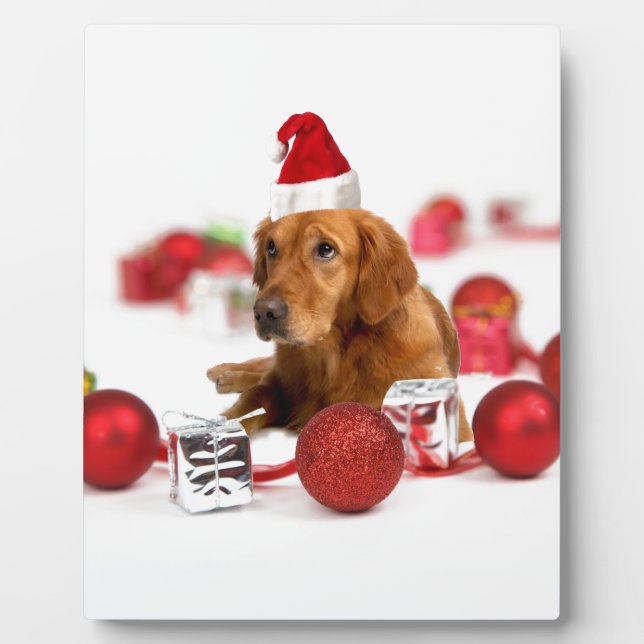 Golden Retriever Dog W Rote Weihnachtsmannmütze We Fotoplatte (Vorderseite)