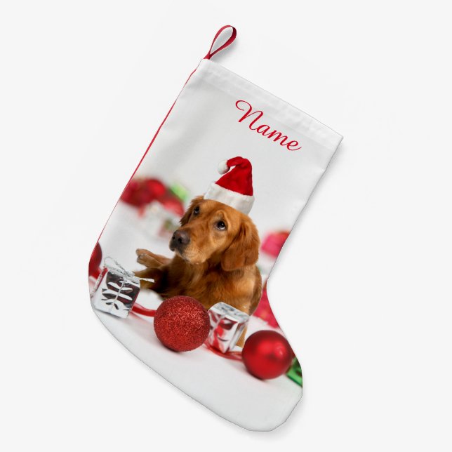 Golden Retriever Dog W Rote Weihnachtsmannmütze We Kleiner Weihnachtsstrumpf (Vorderansicht (hängend))