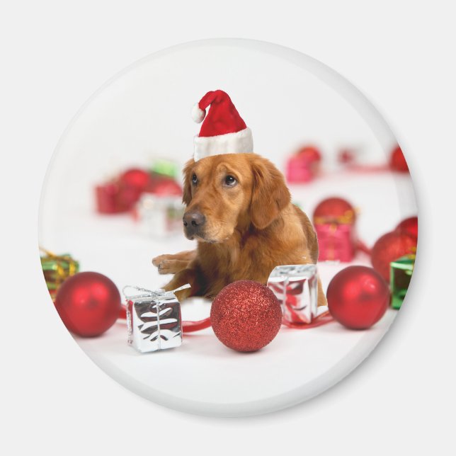 Golden Retriever Dog W Rote Weihnachtsmannmütze We Magnet (Vorne)
