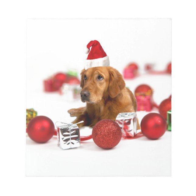 Golden Retriever Dog W Rote Weihnachtsmannmütze We Notizblock (Vorderseite)