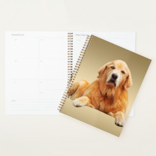 Golden retriever Dog Water Color Art Painting Planer