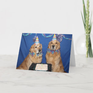 Golden Retriever Doggone Geburtstag Karte
