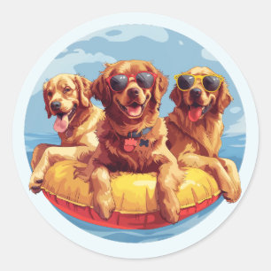 Golden Retriever Dogs Summer Pool Floods Runder Aufkleber