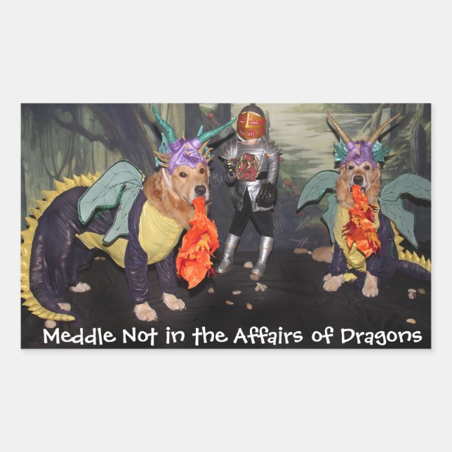 Golden Retriever Dragons Medaille nicht Rechteckiger Aufkleber (Vorderseite)