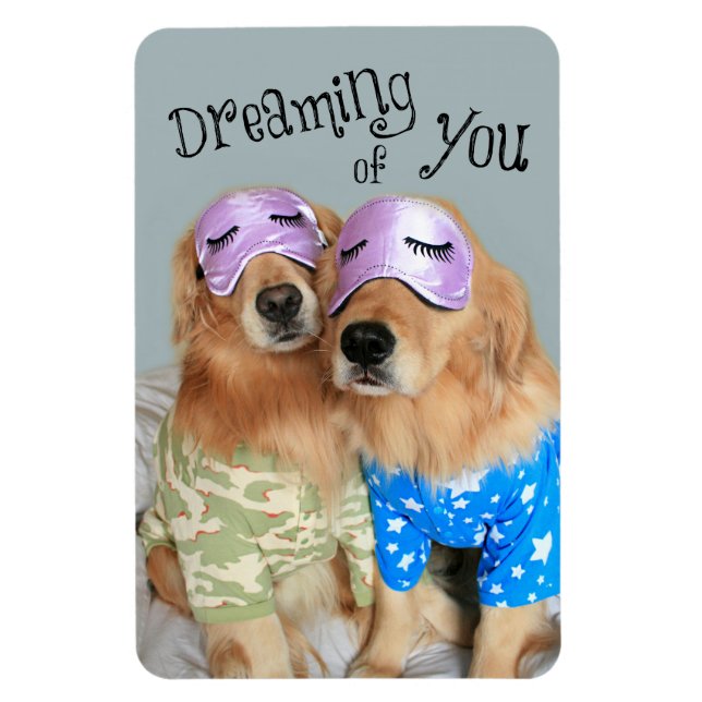 Golden Retriever Dreaming of You Magnet (Vertikal)